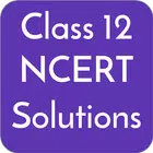 Class 12 NCERT Solutions for PC