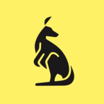 Kangaroo: Simple Home Security for PC