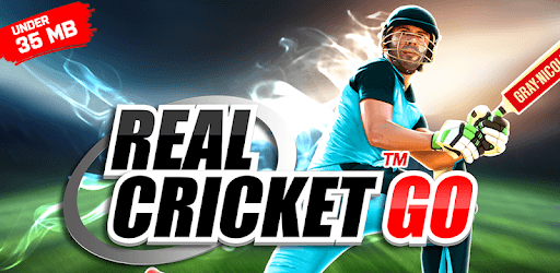 Real Cricket™ GO PC screenshot