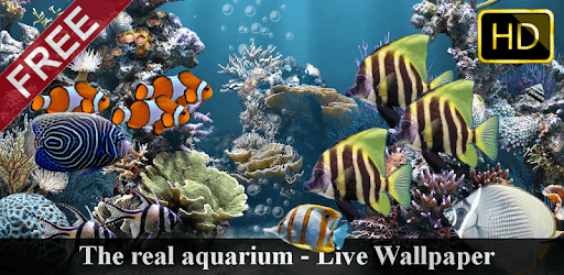The real aquarium - HD PC screenshot The real aquarium - HD PC screenshot