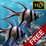 The real aquarium - HD for PC