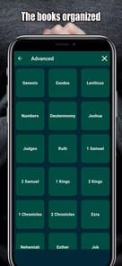 Giant Print Bible for PC screenshot 3 Giant Print Bible for PC screenshot 3