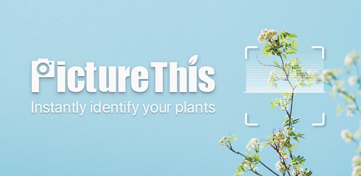 PictureThis - Flower & Plant Identification PC screenshot PictureThis - Flower & Plant Identification PC screenshot