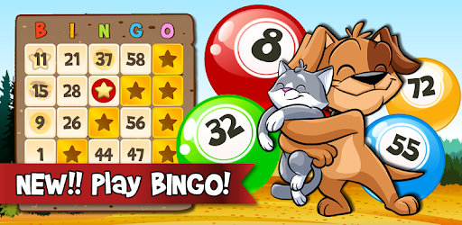Bingo Abradoodle : Free Bingo Games PC screenshot