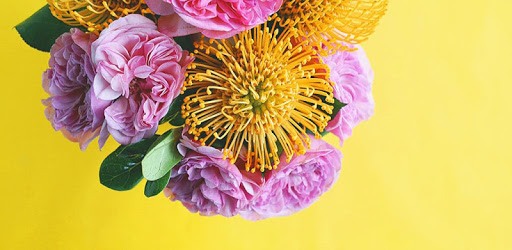 A Color Story PC screenshot