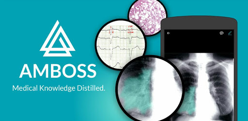 AMBOSS Knowledge USMLE PC screenshot