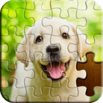 Jigsaw Puzzle for PC