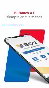 BDV for PC screenshot 1