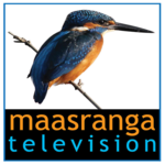 maasranga television for PC