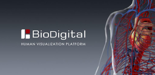 BioDigital Human - 3D Anatomy PC screenshot