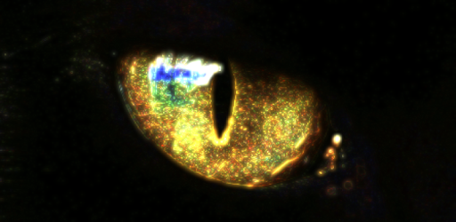 New Catcheye Plus PC screenshot