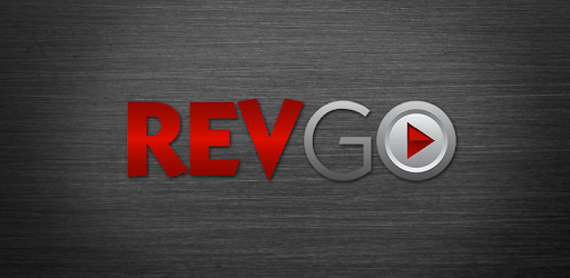 REVGO Play PC screenshot