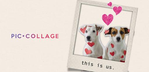 PicCollage - #1 Photo Collage Editor & Card Maker PC screenshot PicCollage - #1 Photo Collage Editor & Card Maker PC screenshot