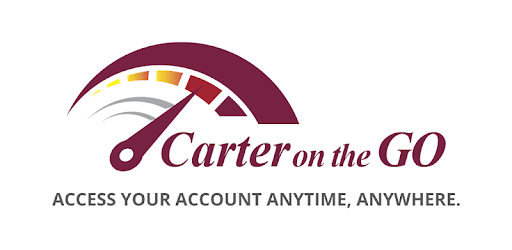 Carter on the Go PC screenshot Carter on the Go PC screenshot