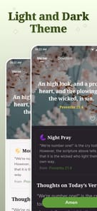 DailyBible Lite - KJV Version for PC screenshot 3
