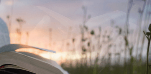 NASB Bible Offline free PC screenshot