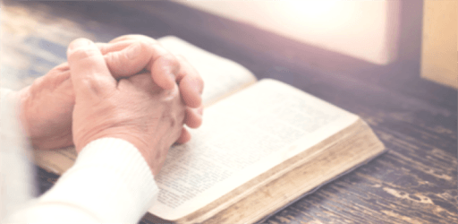 New Revised Standard Bible Free Download. NRSV PC screenshot