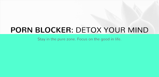 DETOXIFY - Porn Blocker / Web Filter PC screenshot