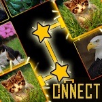 Onnect - Pair Matching Puzzle for PC