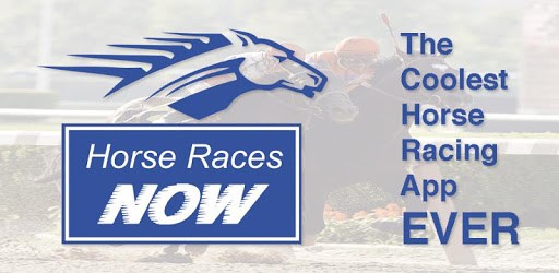 Horse Races Now PC screenshot