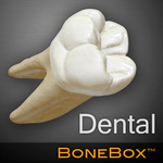 BoneBox™ - Dental Lite for PC