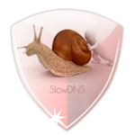 VPN Over DNS  Tunnel : SlowDNS for PC