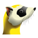 Ferret WiFi for PC