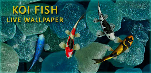 3D Koi Fish Wallpaper HD Fish Live Wallpapers Free PC screenshot