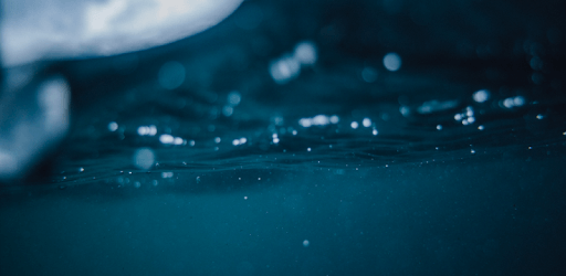 Lowrance: Fishing & Navigation PC screenshot