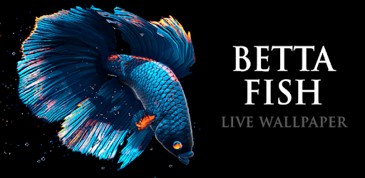 Betta Fish Live Wallpaper FREE PC screenshot