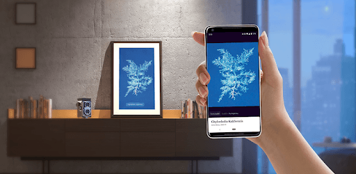 Meural PC screenshot