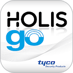 Holis Go for PC
