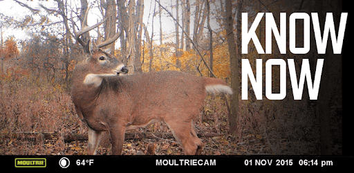 Moultrie Mobile PC screenshot