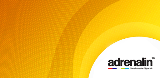 Adrenalin HRIS 5.4 PC screenshot