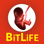 BitLife - Life Simulator for PC
