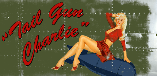 Tail Gun Charlie - WW2 Bomber Shooting Game PC screenshot Tail Gun Charlie - WW2 Bomber Shooting Game PC screenshot