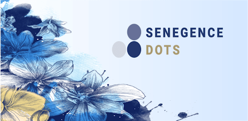 SeneDOTS PC screenshot SeneDOTS PC screenshot