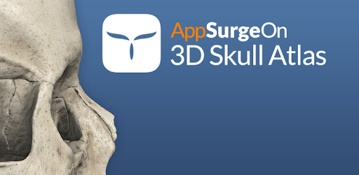 3D Skull Atlas PC screenshot