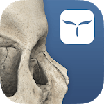 3D Skull Atlas for PC