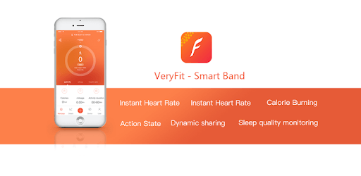 VeryFitPro PC screenshot
