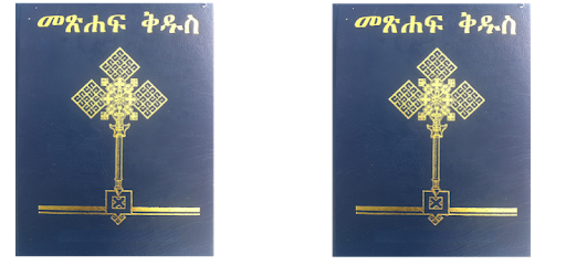 Tigrigna Bible PC screenshot