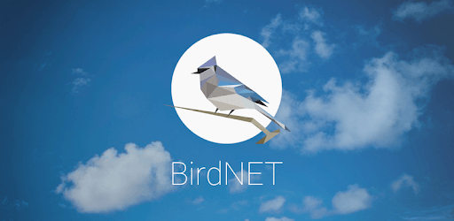 BirdNET: Bird sound identification PC screenshot