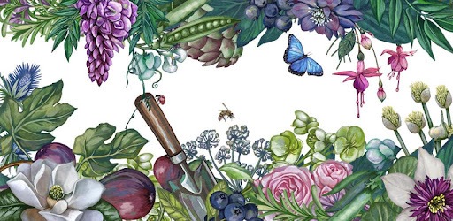 Candide – inspiration for plant lovers everywhere PC screenshot