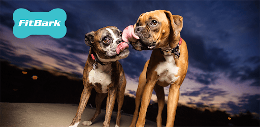 FitBark PC screenshot