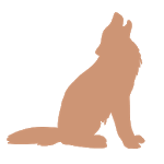 Wolf VPN - Free VPN Proxy & Wi-Fi Security for PC