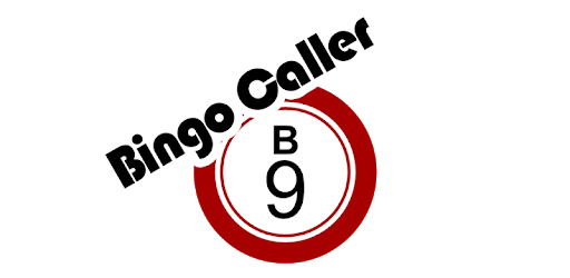 Bingo Caller PC screenshot