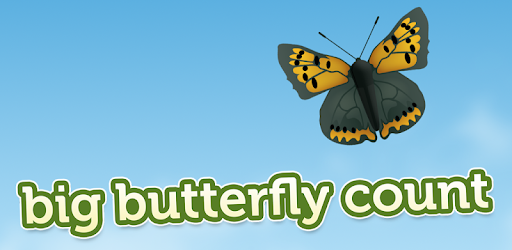 Big Butterfly Count PC screenshot