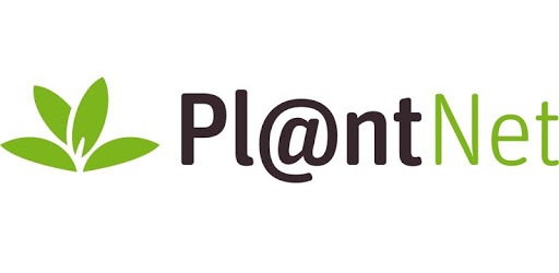 PlantNet Plant Identification PC screenshot
