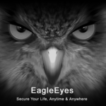 EagleEyes(Lite) for PC