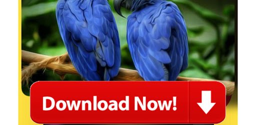 Video Downloader 2021 - All Video Downloader New PC screenshot